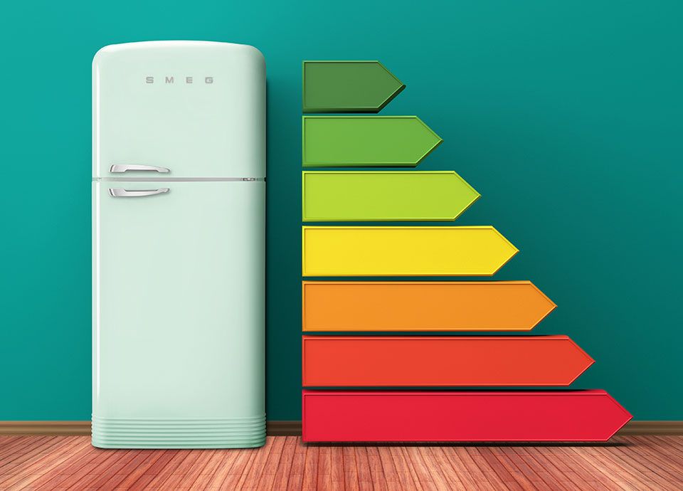 Unveiling the Pinnacle of Efficiency: Your Comprehensive Guide to Energy Star Refrigerators