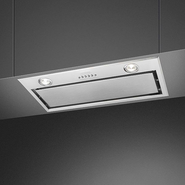 Integrated canopy hood in silver with 2 lights